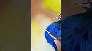 Drawing a realistic Peacock, colorful bird drawing, mixed media art #shorts #peacock #birddrawing