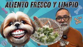 Cómo MANTENER el ALIENTO de tu Perro LIMPIO y FRESCO tips by Alex Santillana