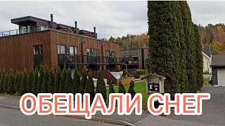 Обещали снег.Еду по делам.Вкусная рыбка.