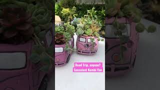 Succulent Kombi Van.. so cute! #succulents #shorts #cute