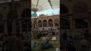 #Roza Pak #roza_e_rasool #masjidnabawi #madeenashareef #youtube #religion #youtbeshorts