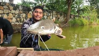 Private Monster Fishing Park | Phuket Thailand | Thailand fishing