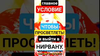 Измени Эту Мысль и Ты Просветлеешь Сегодня! Как Выйти в Сознание? #shorts #осознанность #медитация