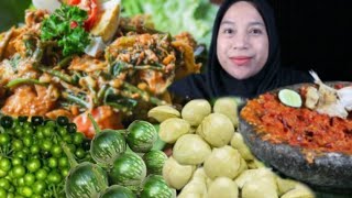 JENGKOL TUA.....‼️ GADO2 LALAPAN LEUNCA, TERONG HIJAU, TERONG UNGU, IKAN ASIN, SAMBEL TERASI MUKBANG