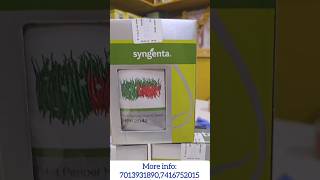 chilli seeds#Syngenta 2042#5531#mahyco#yashaswini#kalash#2626#shark1#bangaram#blaze#basf#armour#2222