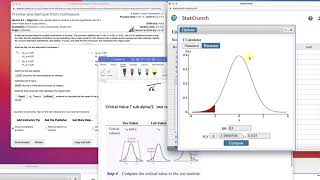 2021 Statcrunch Hypothesis Population Mean T and P