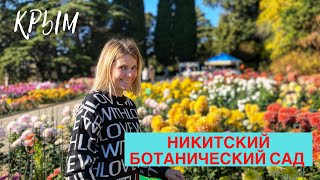 КРЫМ 2021. ЯЛТА. Зима + 15. БАЛ ХРИЗАНТЕМ. Такого никогда не видела. Никитский ботанический сад