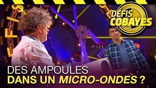 Des ampoules dans un micro-ondes ? 😱- Défis Cobayes - France 4