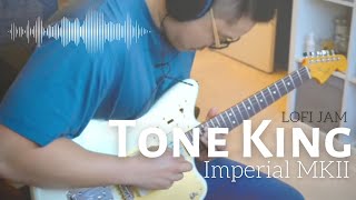 Lofi Jam | Tone King Imperial MKII