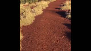 OUTBACK AUSTRALIA #SHORTS