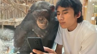 The Funniest Animals 2024! Monkeys Reacting to See Phone For The First Time!