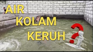 CARA BUDIDAYA IKAN GURAME DI KOLAM BETON || AIR KOLAM KERUH