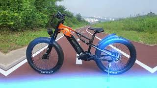 LANKELEISI RV800 Electric Mountain Bike 750w Bafang Motor 48v 20ah Samsung Battery Electric Bike