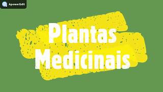 Plantas Medicinais - Guiné