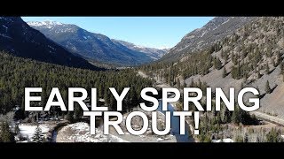 INCREDIBLE Early Spring River Fishing - for Brown TROUT! (PART 1)