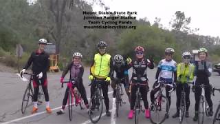 Team Cycling Panda MDSP