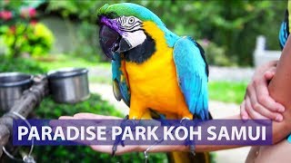 Paradise Park Koh Samui Preț | Revizuire | Avitip