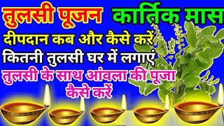 कार्तिक मास में तुलसी जी की पूजा कैसे करें/Kartik mein Tulsi ji ki Puja kaise karen#tulsipuja#video