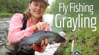 Grayling Fly Fishing … with kilometres of peaceful forest rivers