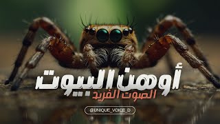 وثائقي العنكبوت أوهن البيوت * سامر يونس