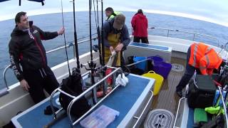 Fishing Trip Lyme Regis 07.01.2017