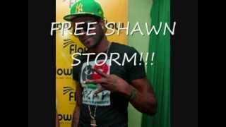 SHAWN STORM  MEMORIES - ((APRIL)) ENCHANTMENT RIDDIM SURVIVAL RECORDS ((NEW))