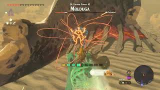 Zelda #TotK: Defeat Molduga With Yunobo Only!