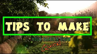 Tips To Make Your Garden Grow...Quick!