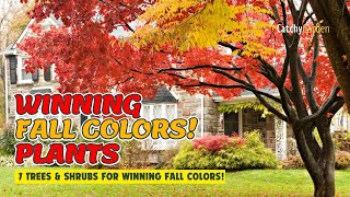 🌳 7 BEST TREES and SHRUBS for WINNING FALL COLORS! 🍂🌳🍁 // Gardening Ideas