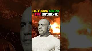 Joe’s forest fire experience