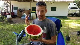 Watermelon Breakfast at Good Soil Farms