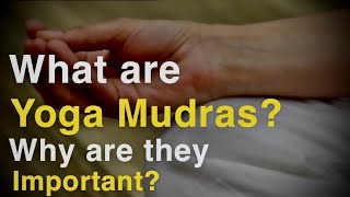 What are Yoga Mudras? Why are mudras important? What are the Basics of Yoga Mudras? Science of Mudra