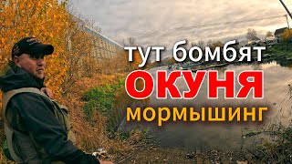 ОКУНЁВЫЕ Приключения. Шлиссельбург #мормышинг #дропшот #микроджиг #микроколебалка