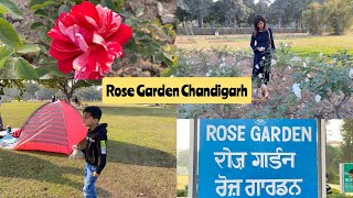 Rose Garden Chandigarh | The City Beautiful