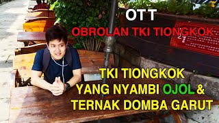 OTT#8 || TKI TIONGKOK YG NYAMBI OJOL & TERNAK DOMBA GARUT