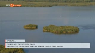 ПРИРОДЕН ОАЗИС ПРЕД РИСК: ЗАПЛАХА ЗА РЕЗЕРВАТА "СРЕБЪРНА" ЗАРАДИ КЛИМАТИЧНИТЕ ПРОМЕНИ   13.09.2024