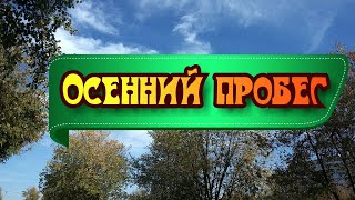 Осенний пробег #ЛАРАзвезДА