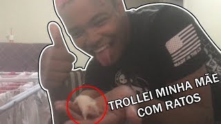 Trollei minha mãe com ratos