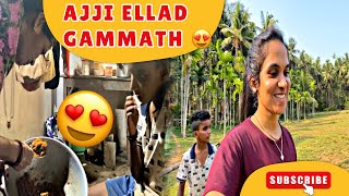 Ajji ellad chinchug ಗಮ್ಮತ್ 😍 | DV 459