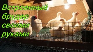 Встроенный брудер своими руками