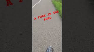 What do you do when you come to a fork in the road?