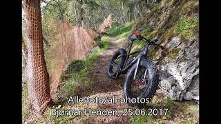 Velkommen inn i eventyrskogen - Welcome into the adventureforest