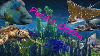 Pacific Ocean - Backyard Zoo - Planet Zoo