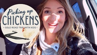 SOLO ROAD TRIP WITH A 3 YEAR OLD + 2 YEAR OLD 🐓