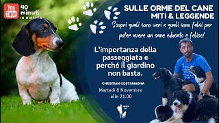 Sulle Orme del Cane - MITI E LEGGENDE: L'importanza della passeggiata e perché il giardino non basta