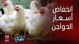 صباحك مصري | انخفاض أسعار الدواجن