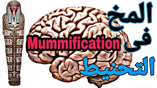 عملية التحنيط...بيرموا المخ (ملوش لازمه). Mummification process(they got rid of brain)