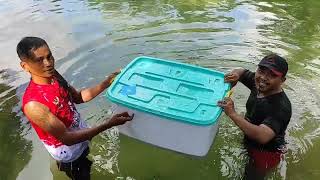 MANDI BARENG KING COBRA DI KOLAM ALAM