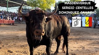 MASDENVERGE 31.7.24 TOROS CERRILES DE SERGIO CENTELLES Y DOMINGUEZ CAMACHO