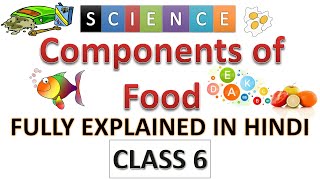 Components of food class 6 | class 6 science | class 6 components of food | best explanation